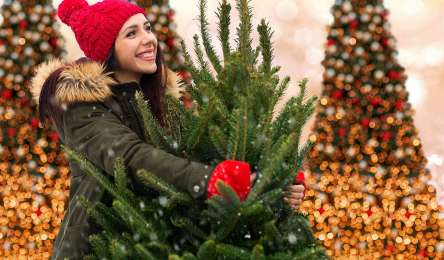 Weihnachtsbaumverkauf
